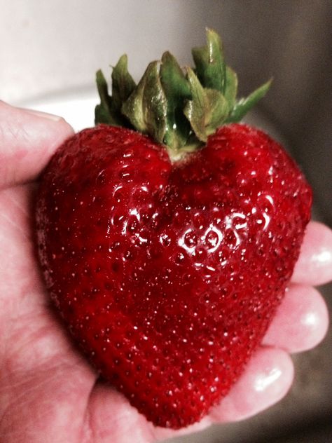 Giant strawberry heart Giant Strawberry, Strawberry Heart, Strawberry Hearts, Food Inspo, Healthy Eats, Fruits And Vegetables, Theater, Healthy Eating, Fruit