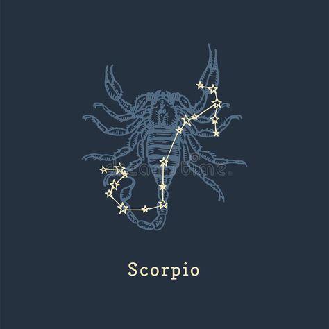 Scorpio Zodiac Illustration, Scorpio Astrology Art, Zodiac Scorpio Aesthetic, Constellation Scorpion, Scorpion Constellation, Scorpio Illustration, Scorpion Illustration, Scorpio Graphic, Scorpio Zodiac Art