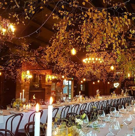 Yarra Valley, Wedding Venue Inspiration, Seasonal Decorations, Estate Wedding, Wedding Flowers, Mood Board, Wedding Venues, Seasonal Decor, Weddings