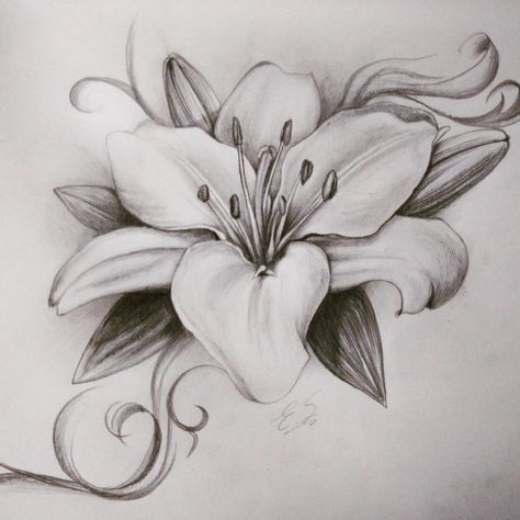 Realistic Lily Tattoo Design, Drawing For Bedroom, Lily Flower Sketch, Lily Tattoos For Women, Lilly Flower Drawing, Lilly Tattoo Design, Stargazer Lily Tattoo, Lilly Flower Tattoo, Lily Artwork