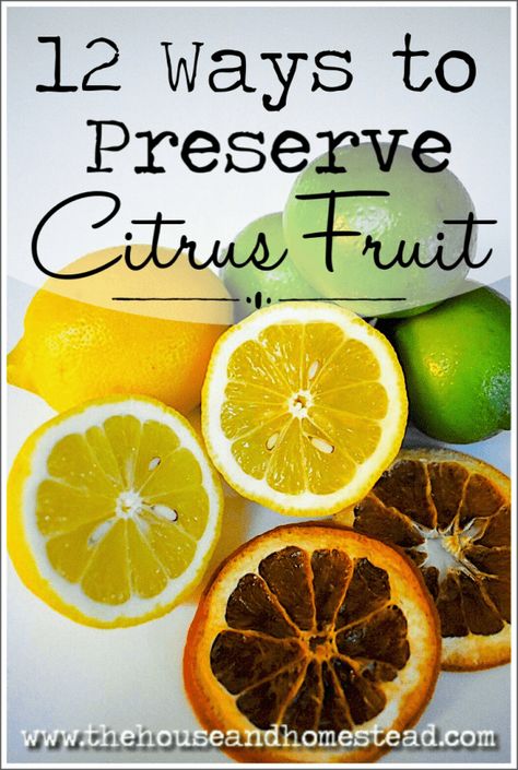 Storing Citrus Fruit, How To Preserve Limes, Beginner Homesteading, Preserve Lemons, Preserve Vegetables, Homestead Hacks, Preserving Fruit, Lemons And Limes, Citrus Recipes