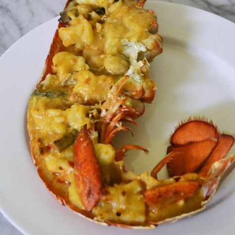 French Recipes - The Little Ferraro Kitchen Wine Mushrooms, Lobster Thermidor, Julia Child Recipes, Lobster Dishes, Seafood Entrees, Shellfish Recipes, Lobster Recipes, French Cooking, Julia Child