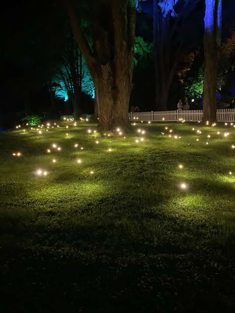 Backyard Deck Ideas, Firefly Wedding, Enchanted Forest Birthday Party, Garden Path Lighting, Enchanted Forest Birthday, Creative Backyard, Forest Birthday Party, Forest Birthday, Christmas Light Show