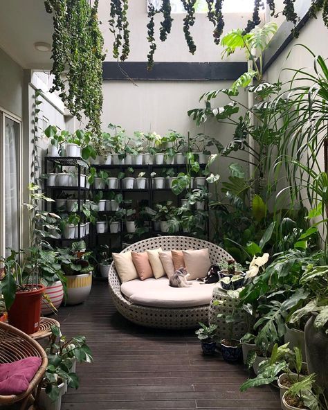 Hanging Gardens, Jungle Gardens, Greenery Decor, Garden Solutions, Hanging Succulents, Plant Decor Indoor, House Plants Decor, Hanging Plant, Room With Plants