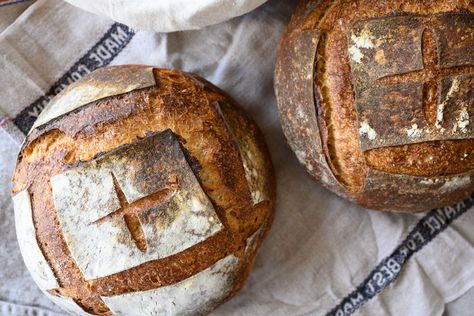 A recipe and schedule for a simple weekday sourdough bread so you have fresh, homemade bread soon after you get home from work. Brioche, The Perfect Loaf, Sourdough Sandwich, A Loaf Of Bread, Protein Bread, Sourdough Starter Recipe, Bread Baker, Sourdough Bread Recipe, Sourdough Baking