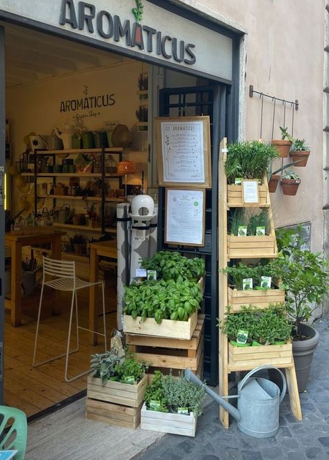 Plant Shop Ideas, Farm Display, Garden Center Displays, Flower Shop Decor, Plant Store, Herb Shop, Small Indoor Plants, Store Design Boutique, Storefront Design