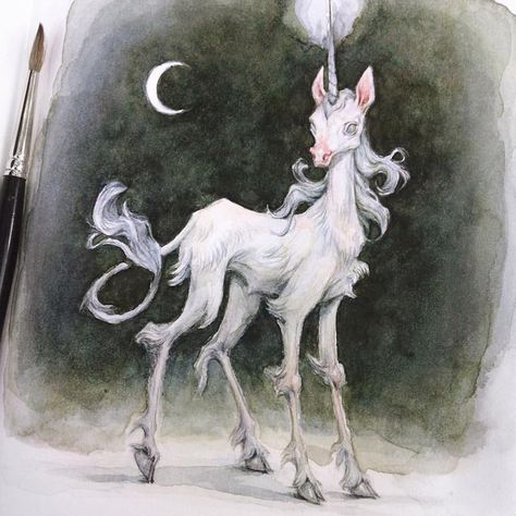 Unicorn Watercolor, Lady Cat, Unicorn Art, Norman Rockwell, Green Gables, Horse Art, Funky Art, Creature Design, Creature Art