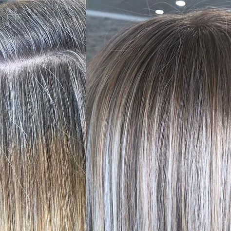 Angie | Florida Hair Stylist on Instagram: "Worked some magic today 🧚🏻‍♀️ bye bye grays and bands 👋" Ash Colored Hair, Grey Hair With Brown Lowlights, Greyish Blonde Hair, Florida Hair, Grey Brown Hair, Light Brown Hair Color, Grey Blending, Brown Hair Inspiration, Grey Hair Transformation