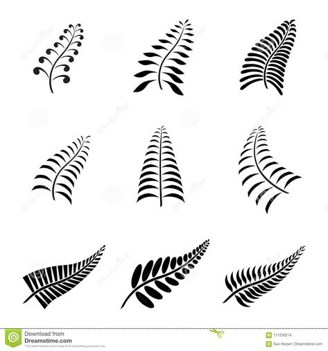 New Zealand Fern Leaf Tattoo And Logo With Maori Style Koru Design ... Fern Leaf Tattoo, Koru Tattoo, Maori Tattoo Meanings, New Zealand Fern, Blatt Tattoos, Maori Symbols, Icon Tattoo, New Zealand Tattoo, Fern Tattoo