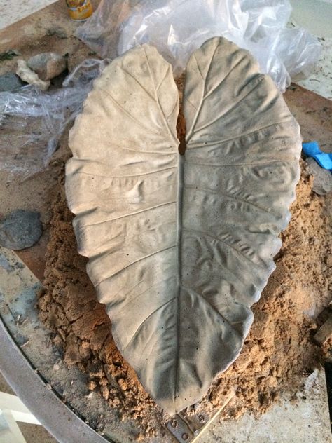 Garden AHHH: Elephant Ear Leaf Casting Elephant Ear Bird Bath Concrete Leaves, Elephant Ears Garden, Cement Leaf Casting, Colocasia Plant, Elephant Ear Plant Care, Leaf Fountain, Leaf Casting, Shade Loving Plants, Cement Leaves