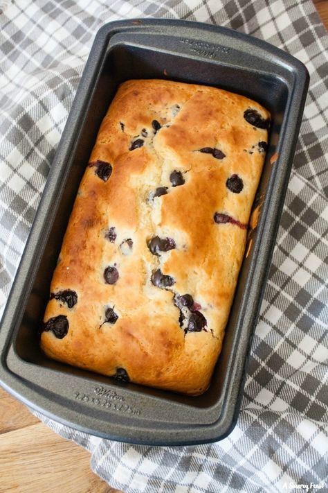 Baking With Plain Greek Yogurt, Greek Yogurt Blueberry Bread, Baking With Greek Yogurt Recipes, Blueberry Loaf Bread, Healthy Blueberry Bread, Bread With Yogurt, Greek Yogurt Bread, Greek Yogurt Blueberry, Blueberry Quick Bread