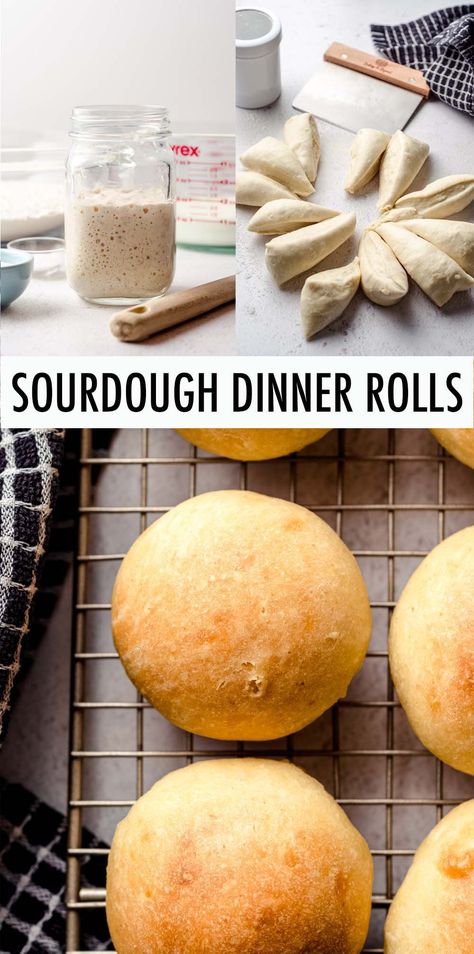 This sourdough dinner roll recipe is made with active starter resulting in soft, fluffy, buttery rolls with that signature sourdough tang. | sourdough dinner rolls recipe | sourdough dinner rolls with starter | sourdough rolls recipe | sourdough rolls from starter | homemade sourdough rolls recipe | how to make sourdough rolls Sourdough Recipe All Purpose Flour, No Wait Sourdough Rolls, Rye Starter Recipe, Sourdough Starter Rolls Recipe, Quick Sour Dough Rolls, Soft Sourdough Sandwich Rolls, Sourdough Starter Dinner Rolls, Sourdough Buns No Yeast, Gluten Free Sourdough Rolls From Starter