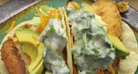 Sea Bass Tacos, Kitchen Cookbook, Healthy Fish, Sea Bass, Fish Fillet, Taco Recipes, Weeknight Dinners, Recipes Dinner, Fresh Cilantro