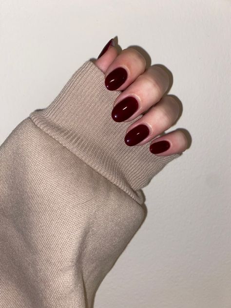 She is showing her nails which are short, almond shaped and dark red Dark Red Round Acrylic Nails, Dark Cherry Red Nails Short, Dark Bordeaux Nails, Deep Red Oval Nails, Short Round Dark Red Nails, Short Round Dark Nails, Dark Nails Oval, Deep Red Short Nails, Short Oval Burgundy Nails