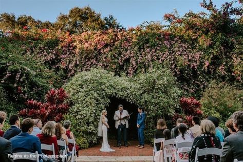 Sunken Gardens Wedding, Florida Wedding Reception, Sunken Gardens, Tampa Wedding Venue, Sunken Garden, Botanical Gardens Wedding, Florida Wedding Venues, Garden Wedding Venue, St Petersburg Fl