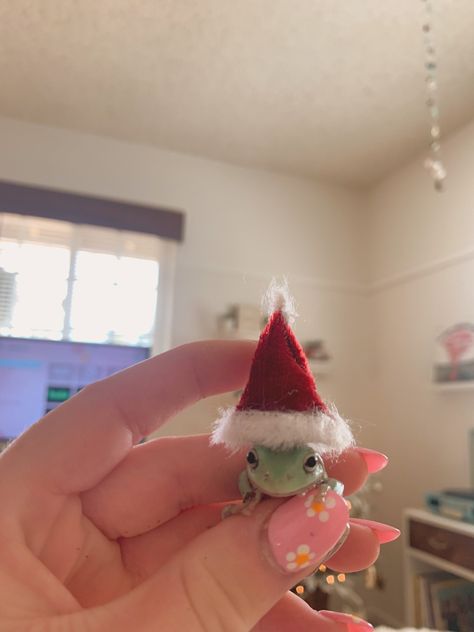 Cute Frog Things, Frog In Mushroom Hat, Frog In Santa Hat, Teletubbies Funny, Cute Frog With Mushroom Hat, Cats With Frog Hats, Tiny Frogs, Cute Froggy, Pet Frogs