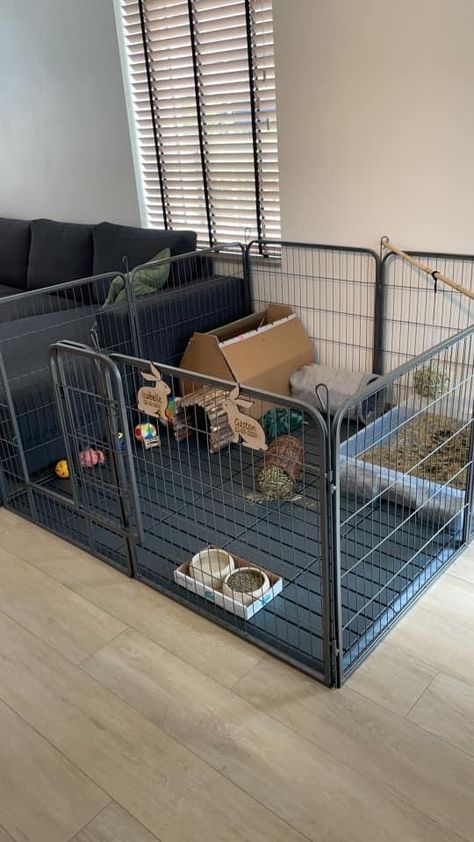 Small Bunny Room Ideas, Rabbit Enclosure In Bedroom, Bunny Enclosure Indoor Rabbit Pen, Bunny Area Ideas, Cute Rabbit Cage Ideas, Rabbit Area Indoor, Bunny Indoor Set Up, Rabbit Pen Ideas, Rabbit Habitat Indoor