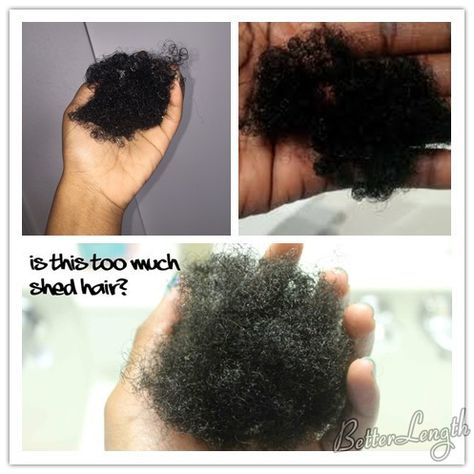 How to Reduce Hair Shedding Stop Hair Shedding, Easy Hair Extensions, 4b Natural Hair, Hair Shrinkage, Heat Damaged Hair, A Lot Of Hair, Natural Hair Routine, Natural Hair Diy, Braided Hair Tutorial