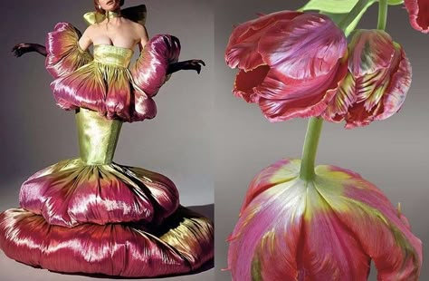 Flower Inspired Dress, Tulips Collage, Sohee Park, Pink Parrot, Schiaparelli Couture, Parrot Tulips, Runway Fashion Couture, In Full Bloom, Inspired Dress