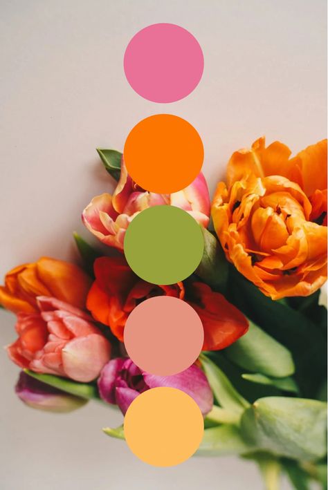 Spring Color Palette Ideas Color Palette Ideas, Spring Color Palette, Color Schemes Colour Palettes, Palette Ideas, Summer Color Palette, Spring Wedding Colors, Wedding Palette, Brand Color Palette, Color Palate