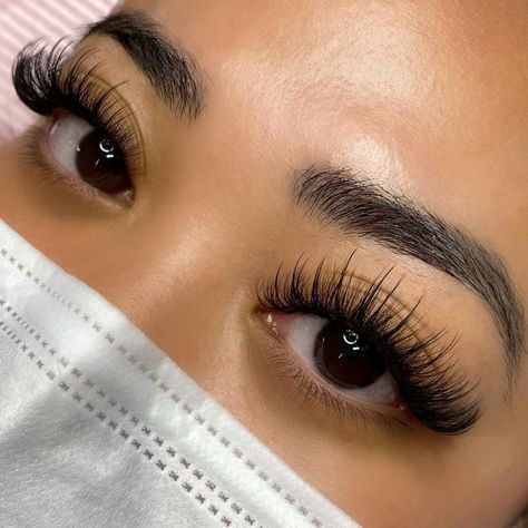 Classic Individual Lashes, Russian Eyelash Extensions, Best Eyelash Glue, Natural Fake Eyelashes, Best Lash Extensions, Lashes Fake Eyelashes, Professional Eyelash Extensions, Eyelash Extensions Styles, Lash Extensions Styles