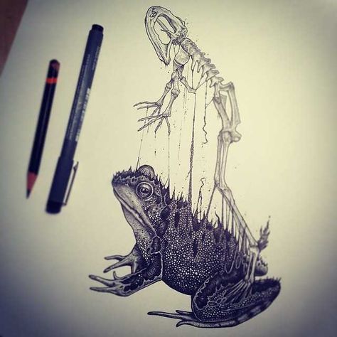 Imgur Post - Imgur Simple Skull Drawing, Animal Skull Drawing, Paul Jackson, Drawing Things, Animal Skeletons, Skulls Drawing, Skull Illustration, Aquatic Life, Unique Drawings