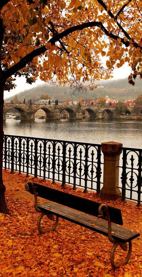 #Autumn #Prague is real romance... Season of wine festivals and hot drinks is approaching! Charles Bridge, Countries To Visit, Autumn Scenery, Autumn Beauty, Fall Pictures, Life Story, Autumn Aesthetic, A Park, Fall Photos