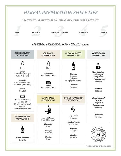 What Every Herbalist Should Know About Herbal Preparation Shelf-Life | Herbal Academy | Ever wondered if an herbal preparation from the back of your cabinet was still effective? Learn all about herbal preparation shelf-life in today's post. Herbalism Basics, Becoming A Herbalist, How To Start An Herbal Apothecary, Herbal Cabinet, Beginner Herbalist, Herbalist Aesthetic, Beginners Guide To Herbalism, Homesteading Goals, Herbalist Shop