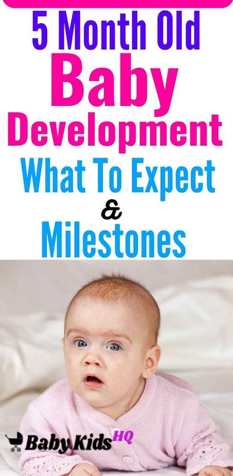 5 Month Old Baby Development :- By now, your baby’s physical developments are coming fast and furiously. When lying on his back, he’ll lift his head and shoulders. If you place him on his stomach, he’ll extend his arms and legs and arch his back. Your baby’s ability to interact with you, others, and his surroundings are growing daily. At this stage, he may start playing little games as he begins to understand that simple actions have results. Baby Developmental Milestones, Three Month Old Baby, Baby Development Milestones, 11 Month Old Baby, 7 Month Baby, 5 Month Baby, Baby Development Activities, 5 Month Old Baby, 4 Month Old Baby