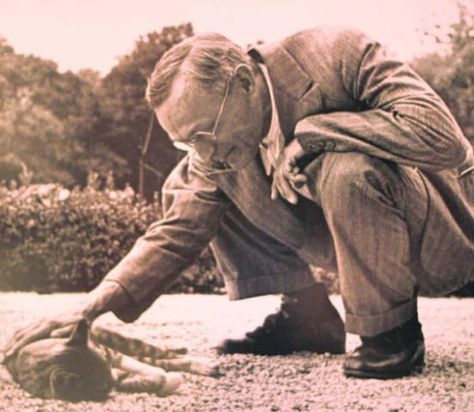 The Relationship Between Famous Writers & Their Cats Demian Hermann Hesse, Several Cat, Michel De Montaigne, Pet People, Hermann Hesse, Writers And Poets, Design Textile, Ernest Hemingway, Cat People