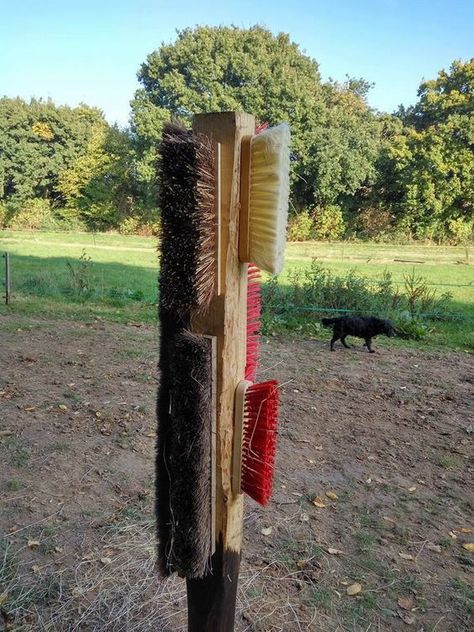 Horse Area Ideas, Goat Stalls In Barn, Diy Donkey, Donkey Shelter, Small Barn Ideas, Horse Lifestyle, Goat Playground, Horse Pasture, Horse Tack Rooms