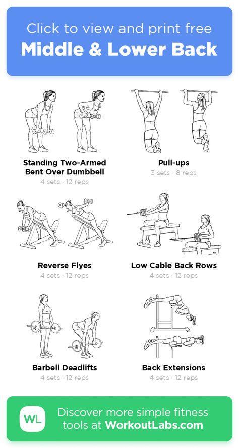 Mid Back Exercises Gym, Lower Back Exercises Women Gym, Lower Back Excersises For Women, Middle Back Workout Women, Lower Back Exercises Gym, Lower Back Muscle Workout, Low Back Exercises Women, Lower Back Gym Workout, Mid Back Workout