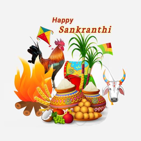 sankranthi image. sankranthi wishes Nature, Sankranthi Wishes In English, Sankranthi Wishes In Telugu, New Home Christmas Card, Sankranthi Wishes, Moana Poster, Sankranthi Festival, Happy Pongal Wishes, Pongal Wishes