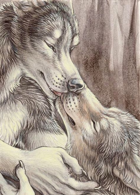 Alpha Werewolf, Wolf Life, Wolf Warriors, Alpha Wolf, Werewolf Art, Wolf Drawing, Wolf Love, Art Magic, Wolf Pictures