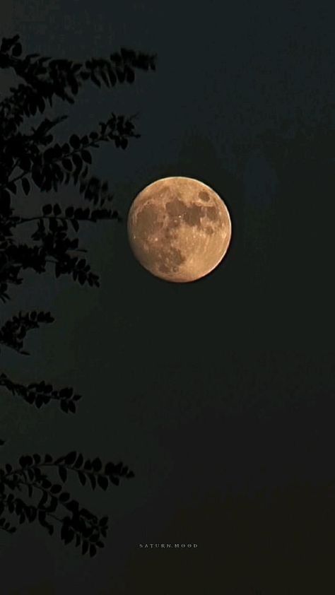 Moon And Stars Wallpaper, Regnul Animal, Moonlight Photography, Blue Moon Photography, Night Sky Wallpaper, The Moon Is Beautiful, Dark Nature Aesthetic, Moon Pictures, Moon Photography