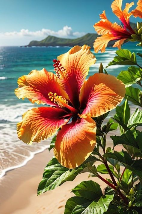 Yellow Hibiscus, Cute Summer Wallpapers, Hibiscus Plant, Beach Flowers, Lovely Flowers Wallpaper, Flower Therapy, Beach Wallpaper, Tropical Flower, Hawaiian Flowers