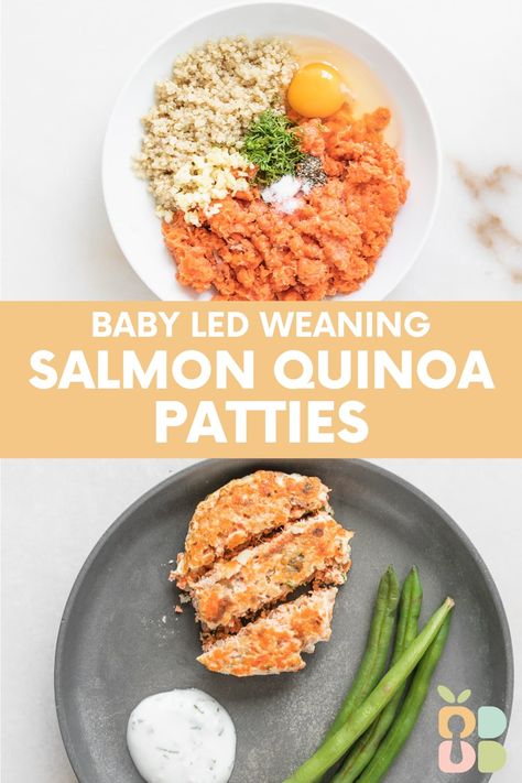 Baby Salmon Quinoa Patties with Dill Yogurt Sauce - Baby Led Bliss Salmon Patties For Babies, Blw Salmon Recipe, Baby Salmon Recipe, Salmon Recipes For Baby, Toddler Salmon Recipe, Salmon Baby Led Weaning, Blw Fish, Salmon For Toddlers, Healthy Toddler Friendly Dinners