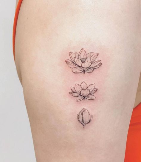 Lotus Flower Tattoo Black, Flower Tattoo Lotus, Lotus Flower Growth Tattoo, Lotus Bud Tattoo, Cool Lotus Tattoo, Blooming Water Lily Tattoo, Unique Lotus Flower Tattoo, Lotus Flower Opening Tattoo, Lotus Flower Fine Line Tattoo