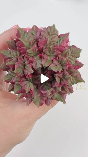 Kirsty on Instagram: "Nice and easy succulent made out of buttercream ♥️ we sell lots of different leaf piping tips which you can check out on our website. Link in our bio #buttercreamdream #cakemasters #cupcakeartist #cupcakeinspo  #caketutorial #pipingtips #ediblebouquet #edibleroses #floristandflowers #caketutorials #cupcakeinspo #cupcakeartist #cupcakeart #cupcakelove #customcupcakes #americanbuttercream #flowercupcakes #bakingreels #reelife #cupcakereels #cakedecoratingreel #cakereel #cakereels #buttercreampetals #buttercreamflower #cakeflower #flowercakes #handmadeflowers #pipingreels #buttercreamdecorating #pipingnozzles #bouquetofcupcakes" Cupcake Piping, Succulent Cupcakes, Christmas Themed Cake, Edible Roses, Buttercream Decorating, Edible Bouquets, Cupcake Tutorial, Christmas Easy, Butterfly Cake