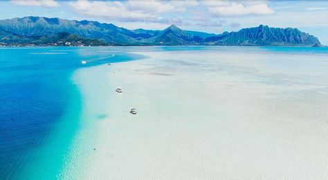 Kaneohe Sandbar, Kawela Bay Oahu, Hanalei Beach Kauai, Kona Beaches, Kaneohe Sandbar Oahu Hawaii, Fun Trips, Kailua Beach, Sharks Cove Oahu Snorkeling, Lanikai Beach