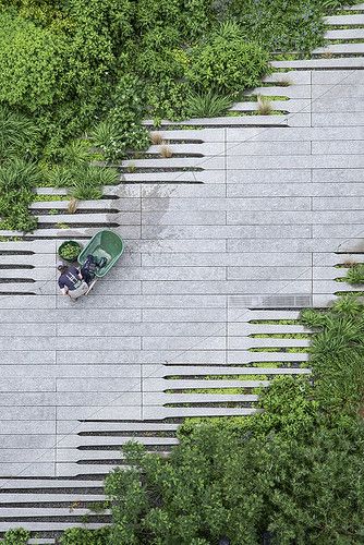 High Line Gardening | Meatpacking District/Chelsea, NYC. | Timothy Schenck | Flickr Landscape Plaza, Pavement Design, Landscape And Urbanism Architecture, Paving Pattern, Paving Ideas, Paving Design, Landscape And Urbanism, Landscape Architecture Design, Landscape Designs