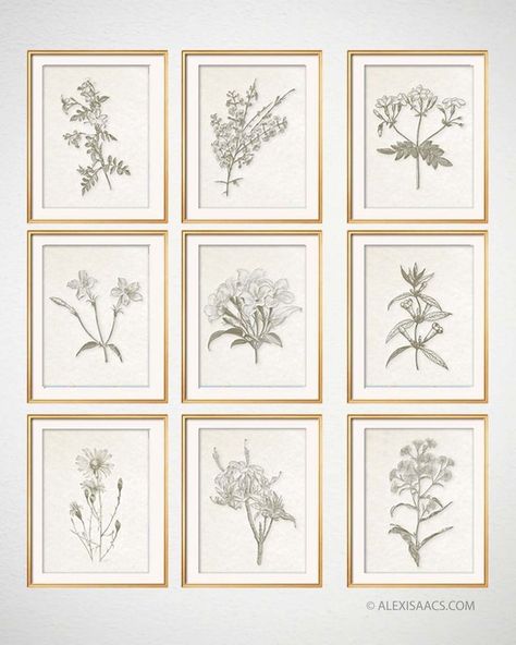 Vintage Botanical Prints, Set of 9 Chinoiserie Art Prints, Botanical Plates, Modern Farmhouse Wall Art, Illustration Botanique Vintage, Chinoiserie Art, Modern Rustic Living Room, Dining Wall, Botanical Illustration Vintage, Botanical Print Set