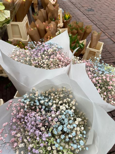 Pastel flowers Nature, Pastel Floral Birthday Theme, Beautiful Things Aesthetic, Babys Breath Boquets, Colored Baby Breath, Baby’s Breath Flowers, Colored Babies Breath, Baby Breath And Roses, Floral Birthday Theme