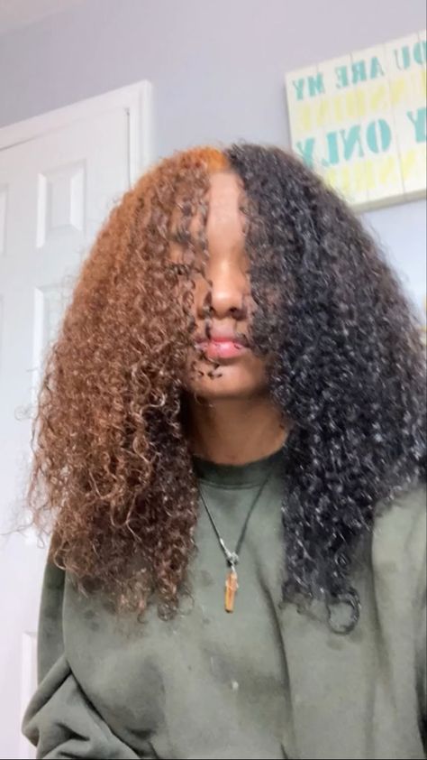 4c Hair Color Ideas Highlights, Dyed Hair For Black Women 4c, 4b Dyed Hair, Hair Dye On Curly Hair, Afro Hair Color Ideas, Afro Dyed Hair, Dyed 4c Natural Hair, Split Dyed Curly Hair, 4c Dyed Hair