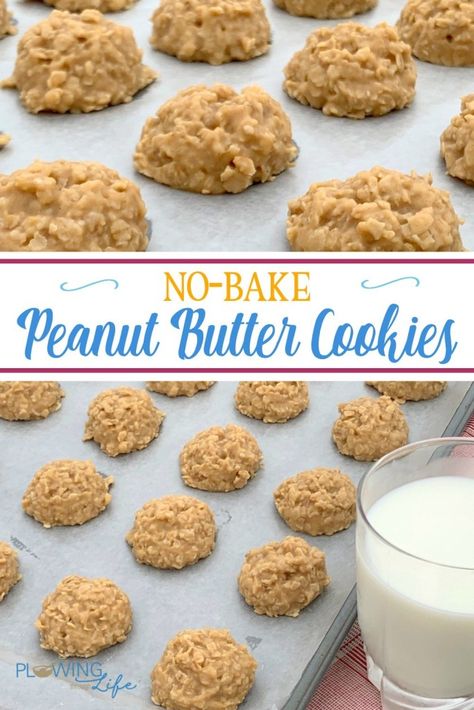 Best No-Bake Peanut Butter Cookies - Plowing Through Life Peanut Butter Drop Cookies, Butter Drop Cookies, Easy No Bake Cookies, Peanut Butter No Bake, Baking Recipes Cookies, Peanut Butter Lovers, Drop Cookies, Peanut Butter Recipes, Christmas Snacks