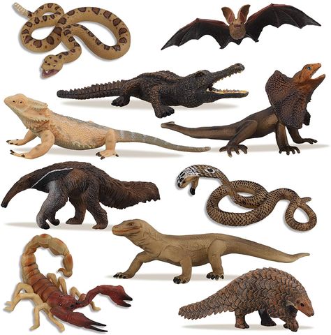 Animal Planet Toys, Animal Figurine Toys, Zoo Toys, Animal Action, Rainforest Animals, Desert Animals, Cold Blooded, Komodo Dragon, Prehistoric Creatures