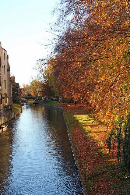 Autumn On The River Cam, Cambridge | Flickr - Photo Sharing! Cambridge In Autumn, Cambridge Autumn, Fall Instagram, Culture Festival, St Giles, Living In England, Instagram Inspo, Branding Inspiration, The River