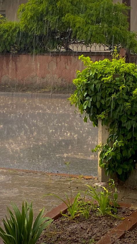 Rainy Nature Photos, Baarish Aesthetics, Barish Aesthetic, Rain Aesthetic Photos, Rain Weather Aesthetic, Rainy Morning Aesthetic, Barish Pics, Rain Photography Nature, Rainy Weather Aesthetic