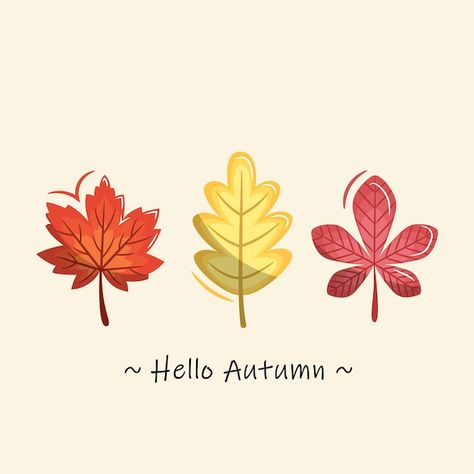 Vector autumn leaves illustration vector | Premium Vector #Freepik #vector #fall-season #fall #november #autumn Fall Leaves Illustration Autumn, Autumn Notion, November Drawings, Fall Illustration Art, November Illustration, Fall Leaves Illustration, Fall Leaves Images, Autumn Leaves Illustration, Fall Motifs