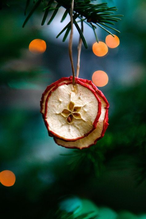 2013 Christmas Eve peace apple, Christmas  dried apple ornaments, 2013 Christmas Eve decor Apple Ornaments, Natal Natural, Yule Crafts, Pagan Christmas, Apple Christmas, Natural Christmas Decor, Christmas Tree Decorations Diy, Apple Apple, Natural Christmas